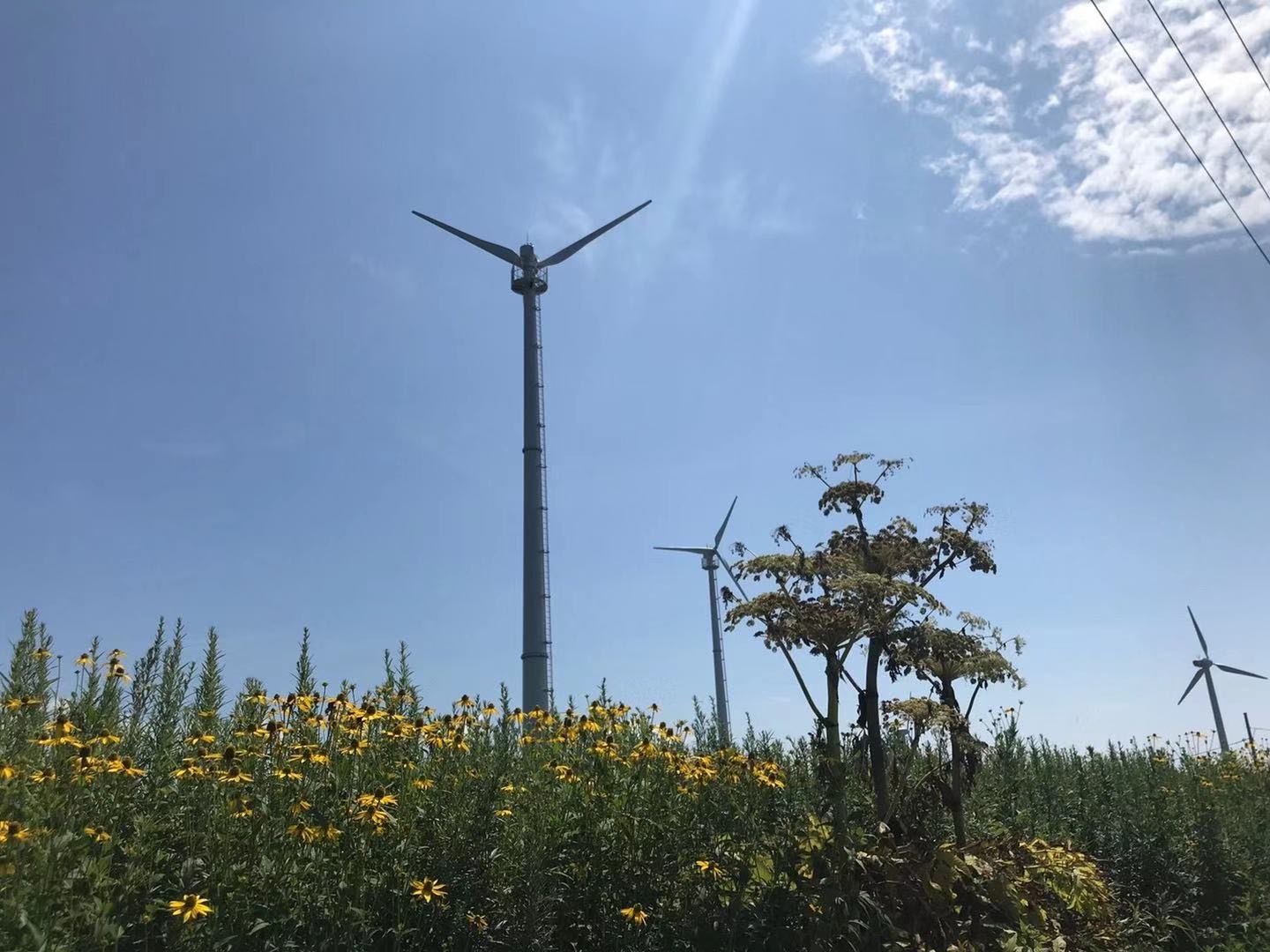 北海道风力发电项目正式启动
